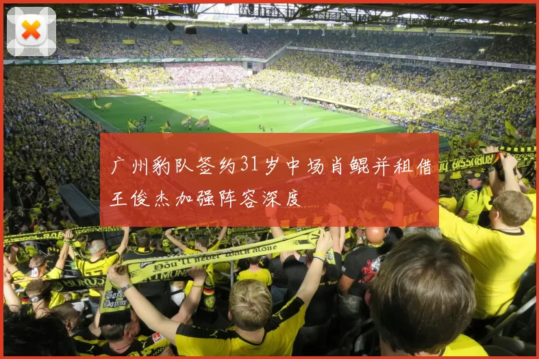 广州豹队签约31岁中场肖鲲并租借王俊杰加强阵容深度